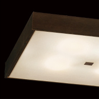 Настенно-потолочный светильник Кваттро CL940411