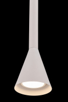 Подвесной светильник Maytoni P064PL-01W
