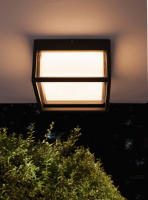 Потолочный светильник уличный Chamonix 7060