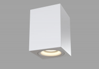 Потолочный светильник Maytoni C013CL-01W